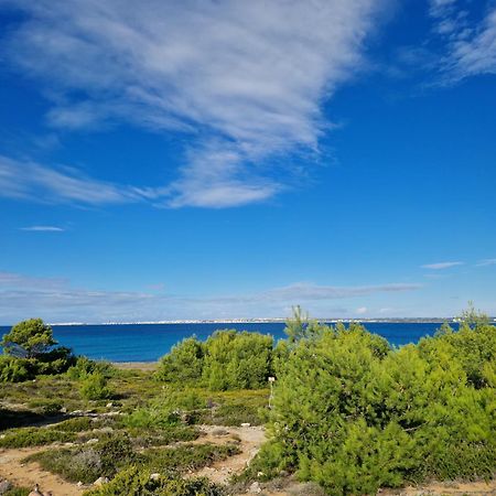 Villa Maria In Puglia Con Pineta Vicino Al Mare ตอร์เรซูดา ภายนอก รูปภาพ