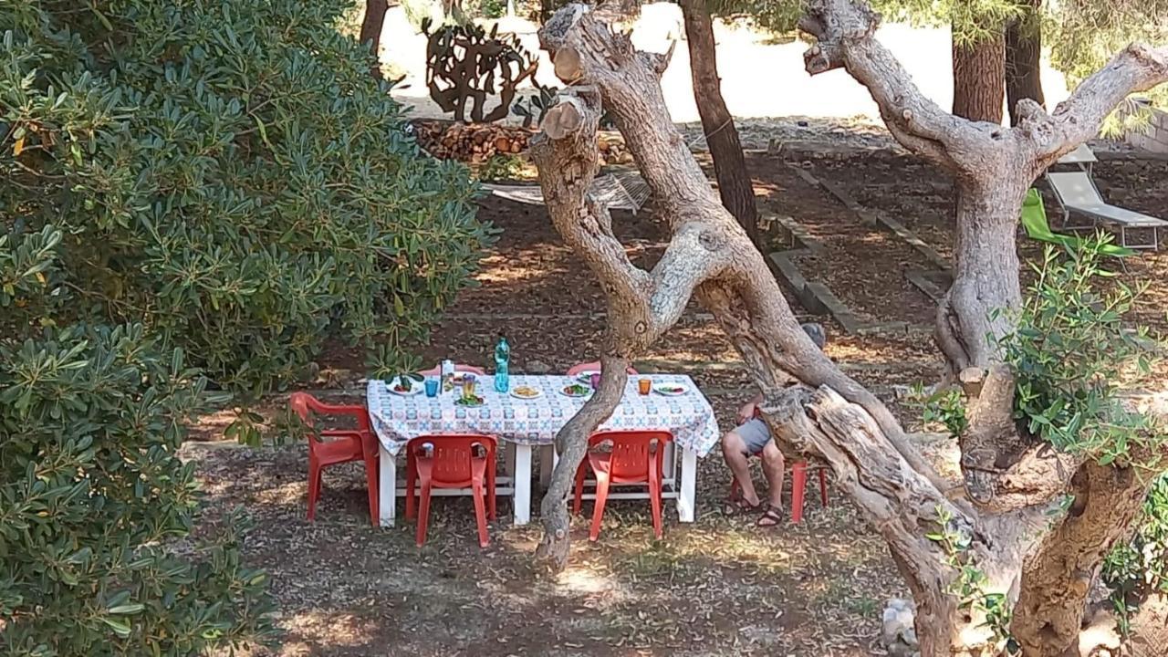 Villa Maria In Puglia Con Pineta Vicino Al Mare ตอร์เรซูดา ภายนอก รูปภาพ