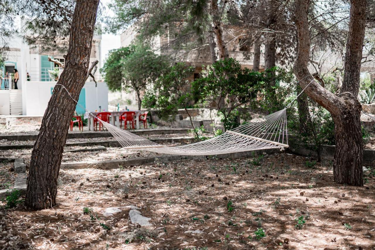 Villa Maria In Puglia Con Pineta Vicino Al Mare ตอร์เรซูดา ภายนอก รูปภาพ