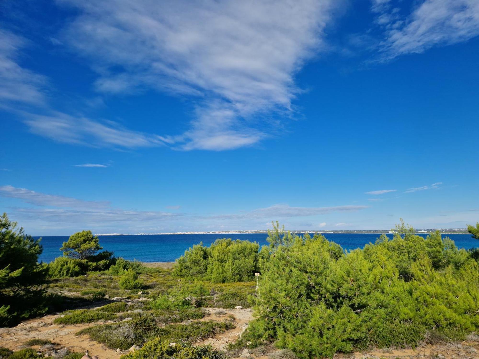 Villa Maria In Puglia Con Pineta Vicino Al Mare ตอร์เรซูดา ภายนอก รูปภาพ