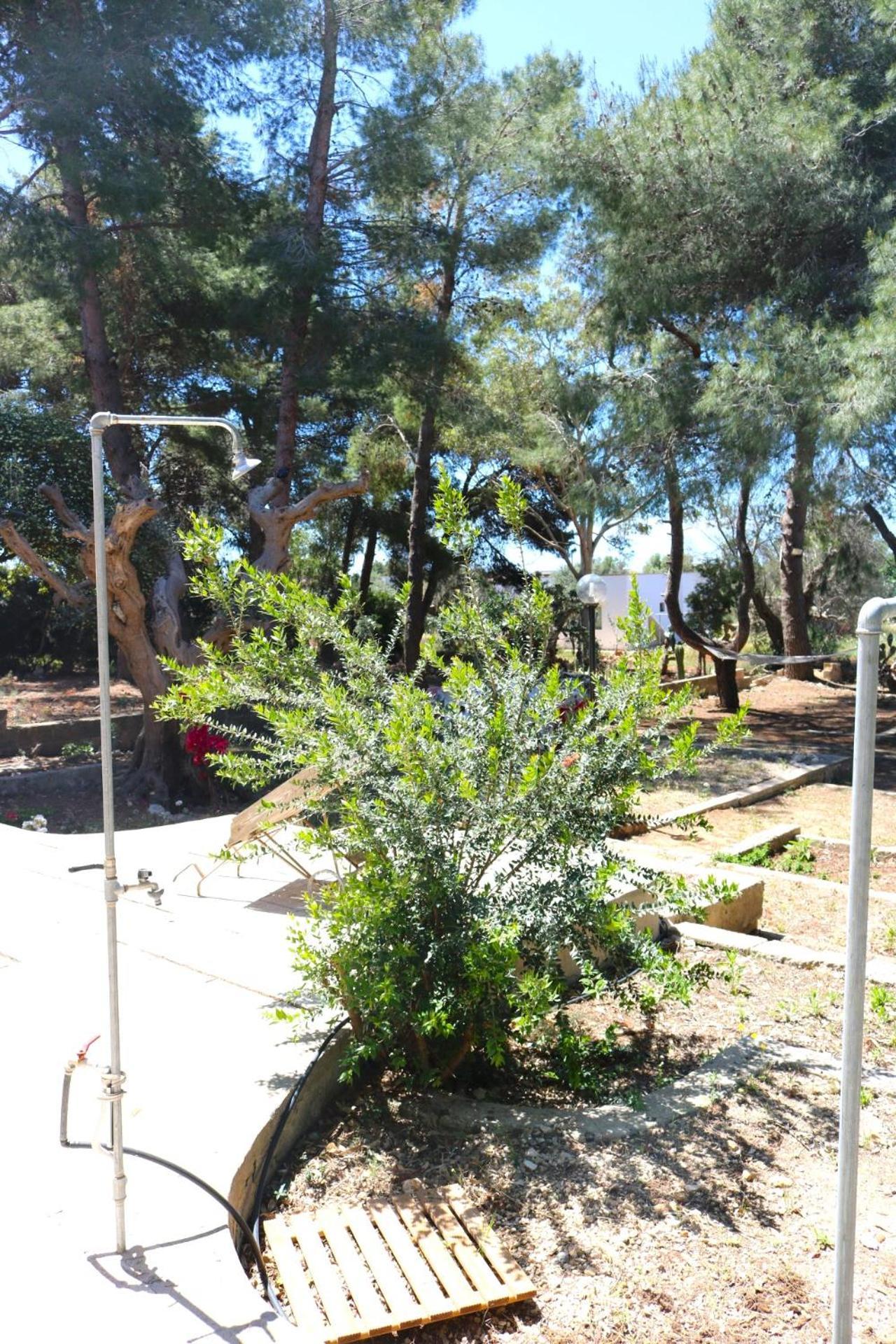 Villa Maria In Puglia Con Pineta Vicino Al Mare ตอร์เรซูดา ภายนอก รูปภาพ
