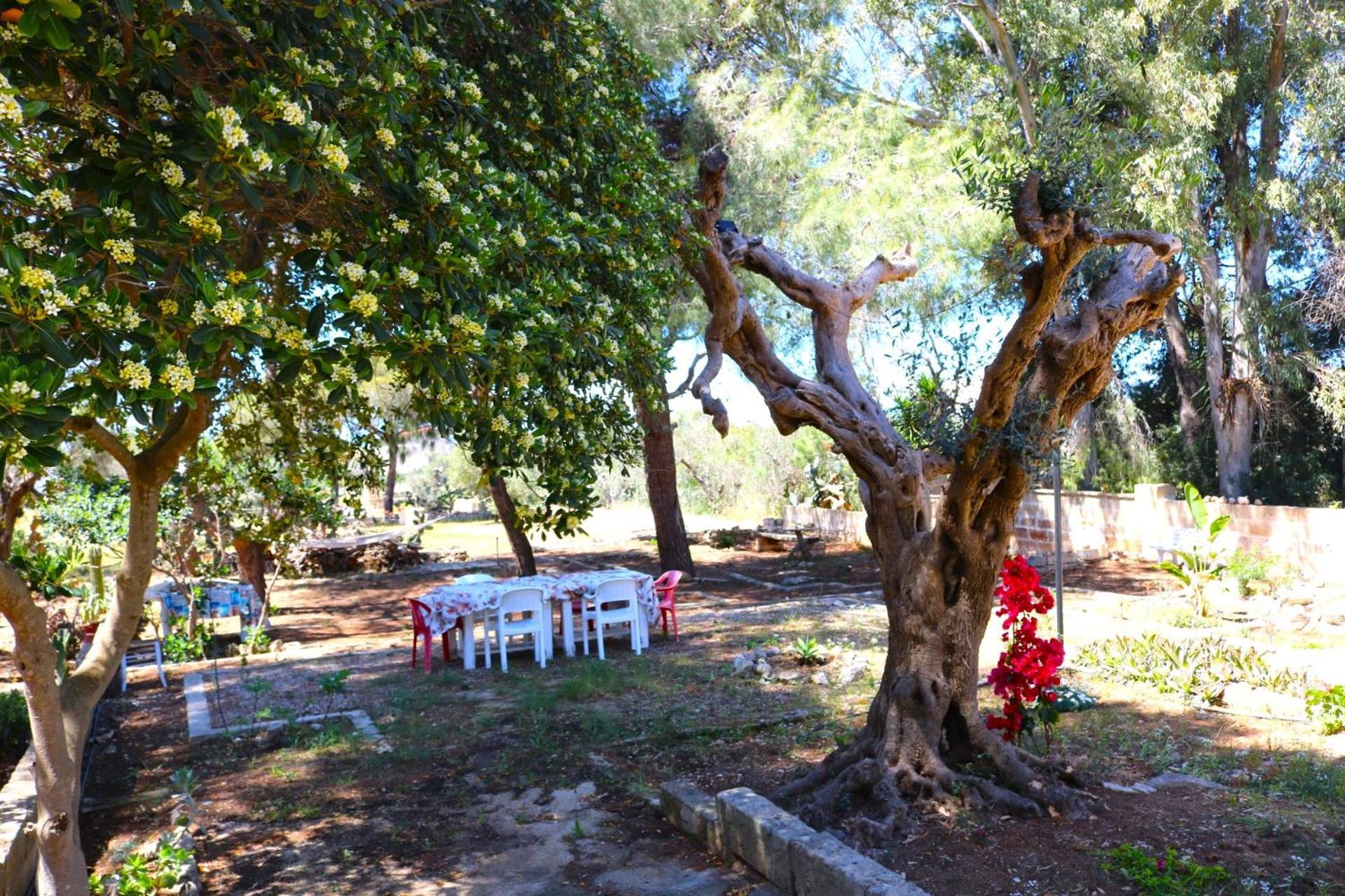 Villa Maria In Puglia Con Pineta Vicino Al Mare ตอร์เรซูดา ภายนอก รูปภาพ